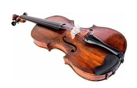 Violin